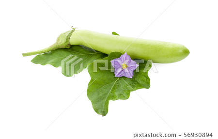 eggplant fresh veggies isolated on white eggplant fresh veggies isolated on white 56930894
