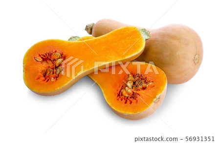 Butternut squash isolated on white background Butternut squash isolated on white background 56931351