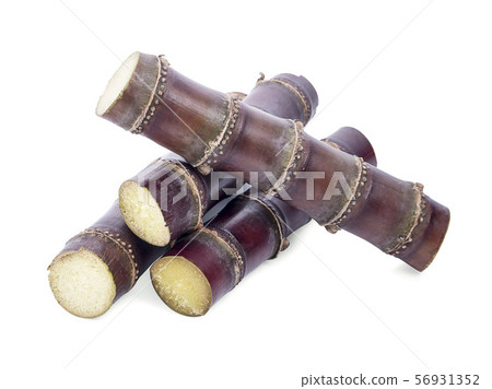 Sugar cane isolated on white background 56931352