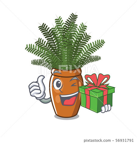 With gift boston fern with the cartoon shape With gift boston fern with the cartoon shape 56931791