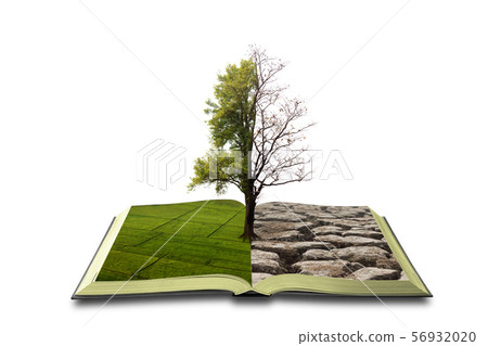 Concept an open book. Bipolarity. On one side, 56932020