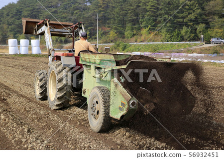Paddy farming, rice harvesting, tractors, manure spreading, Paddy farming, rice harvesting, tractors, manure spreading, 56932451