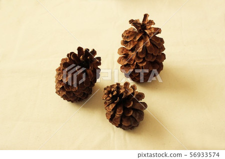 3個松果 56933574