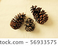 3個松果 56933575