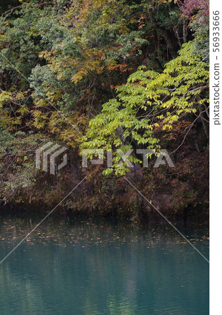 池塘景觀 池塘景觀 56933666