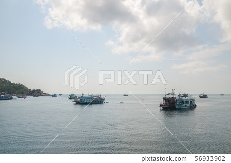 濤島碼頭 56933902