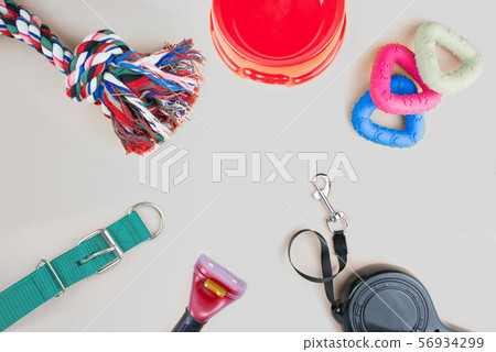 Pet supplies with copy space on grey background Pet supplies with copy space on grey background 56934299