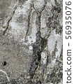 Cracked concrete 56935076