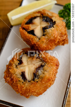 Shiitake fly Shiitake fly 56935887