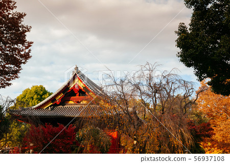 Old red wooden building of Kiyomizu Kannon-do 56937108