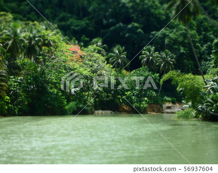 Jungle Cruise Jungle Cruise 56937604
