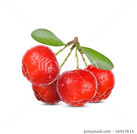 Barbados cherry, Malpighia emarginata,with drops Barbados cherry, Malpighia emarginata,with drops 56937614