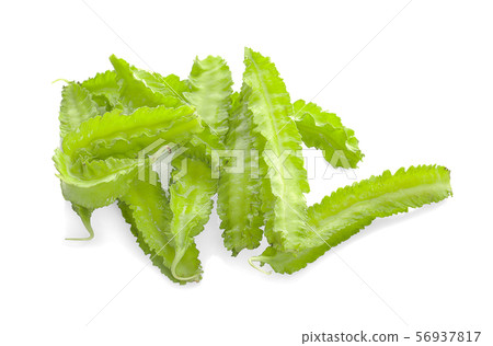 winged bean on white background winged bean on white background 56937817