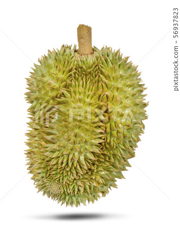 Fresh durian on isolate white background. Fresh durian on isolate white background. 56937823