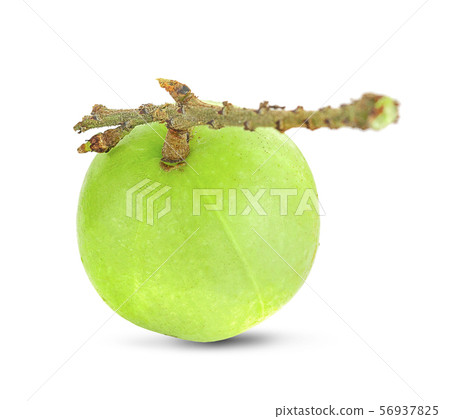 Indian gooseberry an isolated on white background Indian gooseberry an isolated on white background 56937825