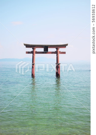 白井神社 白井神社 56938612