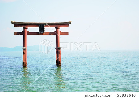 Shiroi Shrine Shiroi Shrine 56938616