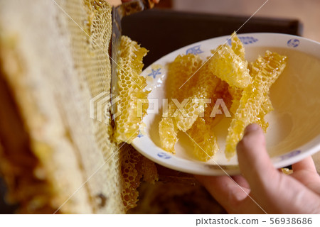 White plate with sections of fresh wax honeycomb White plate with sections of fresh wax honeycomb 56938686