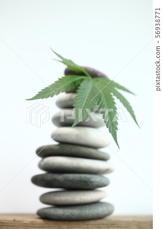 Medical marijuana cannabis cbd oil 56938771