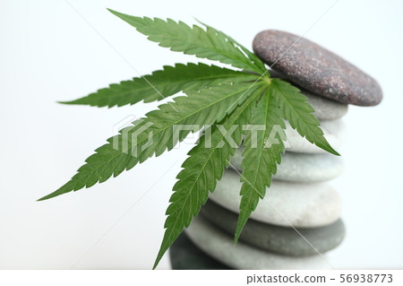Medical marijuana cannabis cbd oil Medical marijuana cannabis cbd oil 56938773