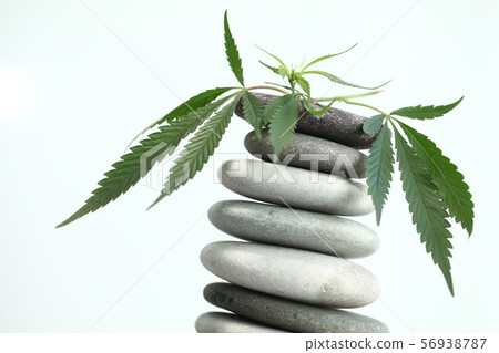 Medical marijuana cannabis cbd oil 56938787