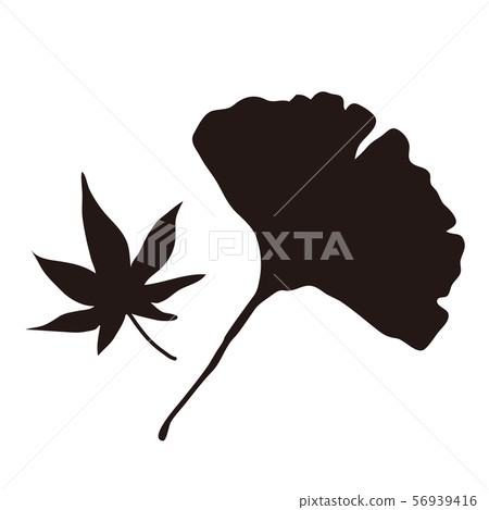 楓葉和銀杏葉剪影 56939416