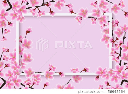 Horizontal sakura or cherry tree with blossom flowers banner vector illustration. Horizontal sakura or cherry tree with blossom flowers banner vector illustration. 56942264