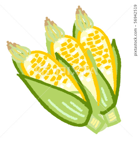 corn  56942519