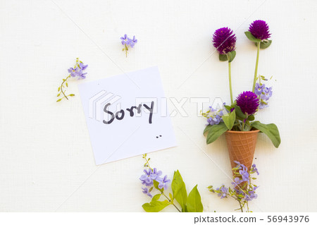 sorry message card handwriting with purple flower  56943976