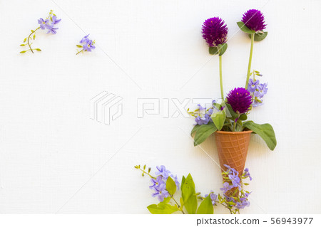 colorful flowers amaranth with purple little flowers 56943977