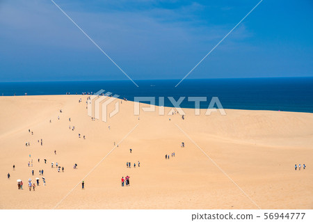 <Tottori Prefecture> Summer Tottori Sand Dunes / Natural Landscape 56944777