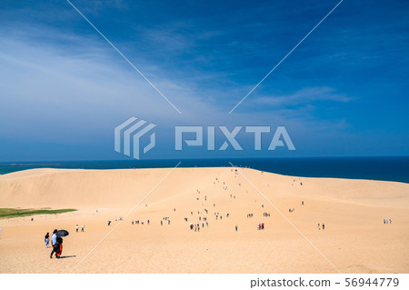 <Tottori Prefecture> Summer Tottori Sand Dunes / Natural Landscape 56944779