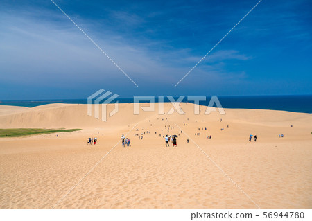 <Tottori Prefecture> Summer Tottori Sand Dunes / Natural Landscape 56944780
