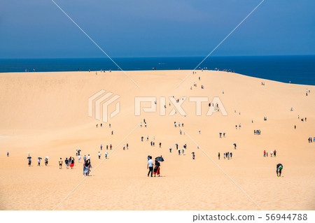 <Tottori Prefecture> Summer Tottori Sand Dunes / Natural Landscape 56944788
