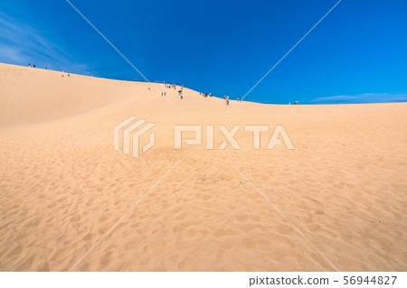 <Tottori Prefecture> Summer Tottori Sand Dunes / Natural Landscape <Tottori Prefecture> Summer Tottori Sand Dunes / Natural Landscape 56944827