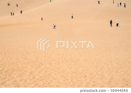 <Tottori Prefecture> Summer Tottori Sand Dunes / Natural Landscape <Tottori Prefecture> Summer Tottori Sand Dunes / Natural Landscape 56944848