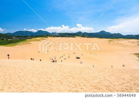 <Tottori Prefecture> Summer Tottori Sand Dunes / Natural Landscape 56944849