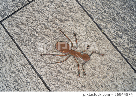 Miyahara Ophthalmology Taichung台灣 56944874