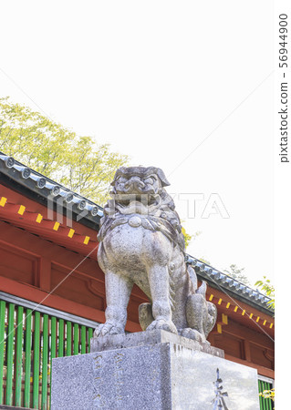 二山神社Nakamiya Nikko 二山神社Nakamiya Nikko 56944900