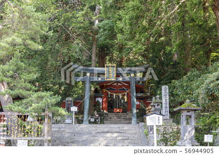 Futarayama Shrine Nakamiya Nikko 56944905