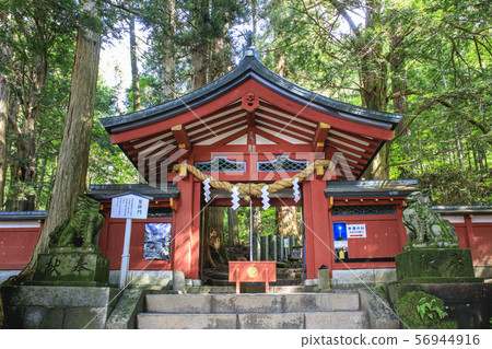 Futarayama Shrine Nakamiya Nikko 56944916