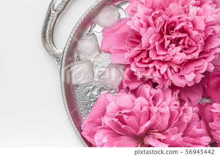 Pink peony flowers with ice on a metal tray 56945442