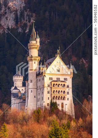 Neuschwanstein Castle sunset view, Germany Neuschwanstein Castle sunset view, Germany 56946582