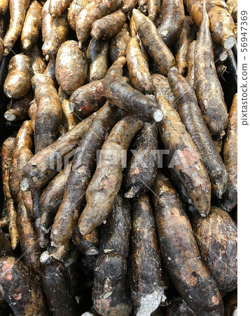 A lot of yucca roots on sale at farms market A lot of yucca roots on sale at farms market 56947369
