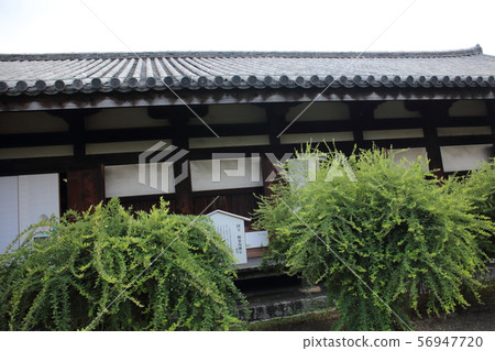 Gango-ji Gango-ji 56947720