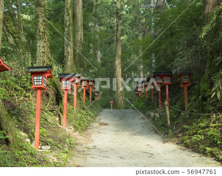 Mt. Kongo red lantern worship road Mt. Kongo red lantern worship road 56947761