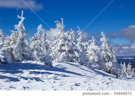 winter landscape at the Fichtelberg Oberwiesenthal 56948073