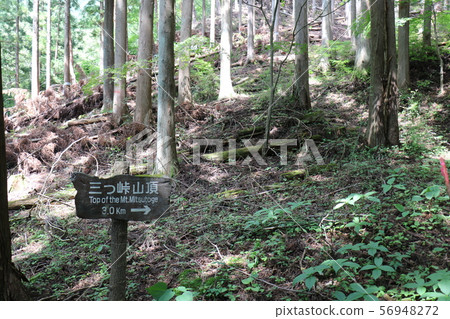 Mountain climbing in Yamanashi Prefecture 56948272