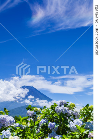 富士山,繡球花和雲 富士山,繡球花和雲 56948902