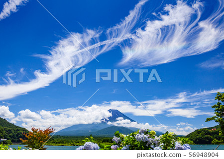富士山,繡球花和雲 富士山,繡球花和雲 56948904